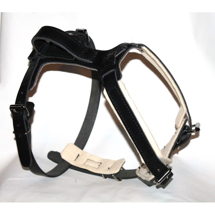 leather harness for training