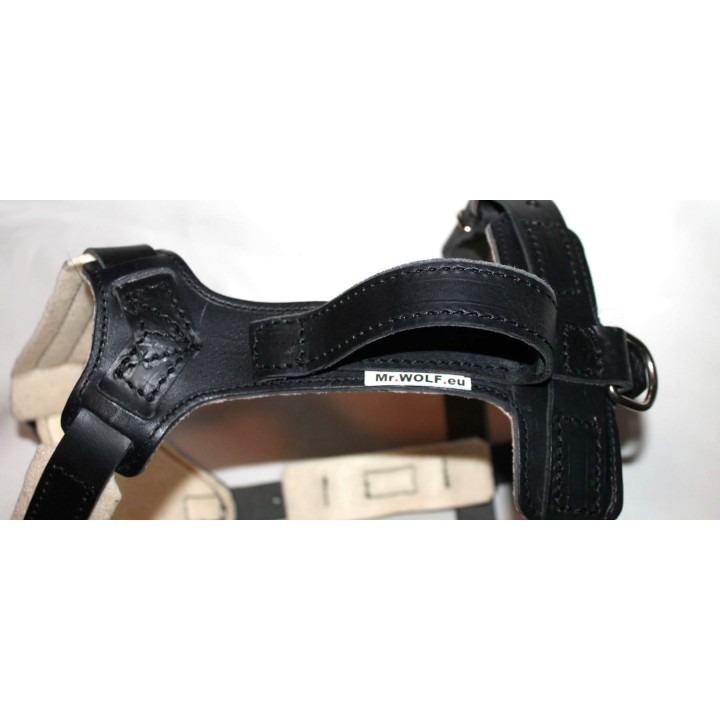 leather harness for training