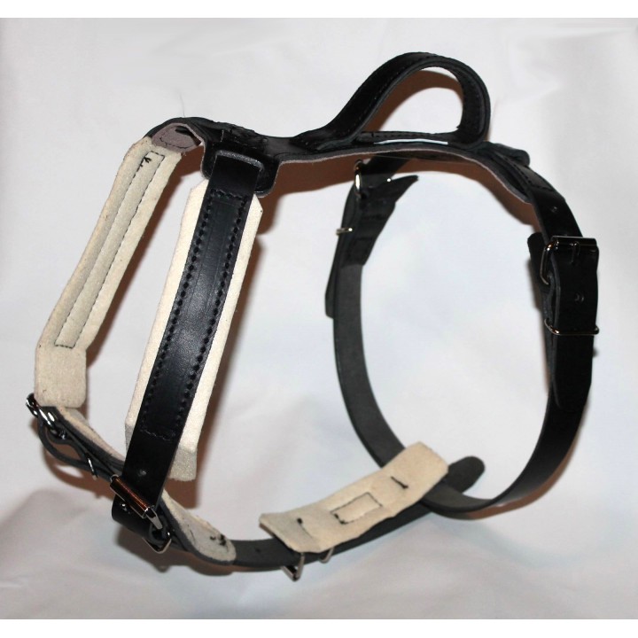 leather harness for training
