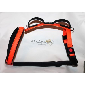 Harness for disabled dogs