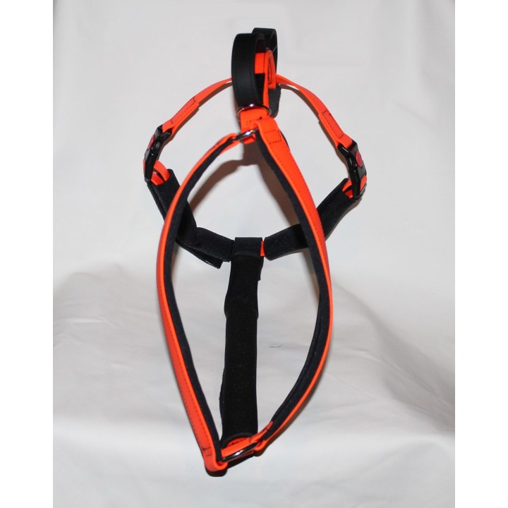 Harness for disabled dogs