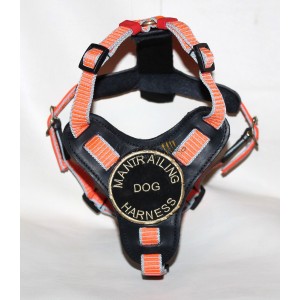 Pettorina Mantrailing