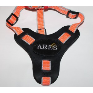 Mantrailing harness