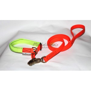 Guinzaglio e collare a...