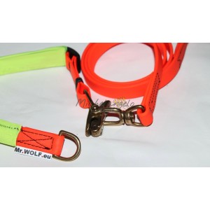 Guinzaglio e collare a...