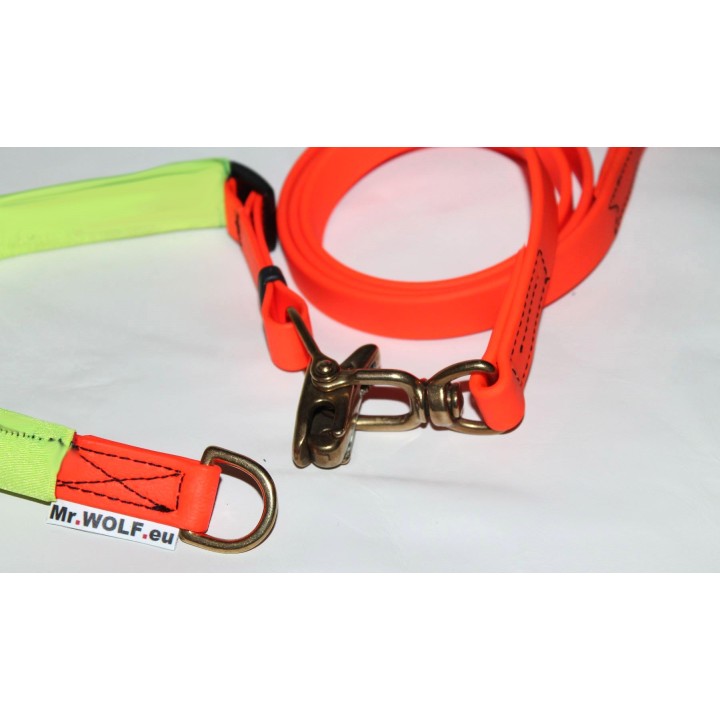 collar and leash for search dogs