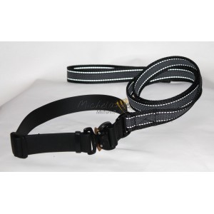 Collar and leash for...