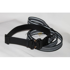 Collar and leash for...