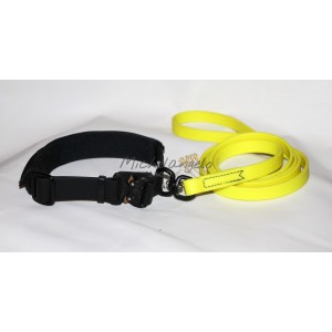 Collar and leash for...