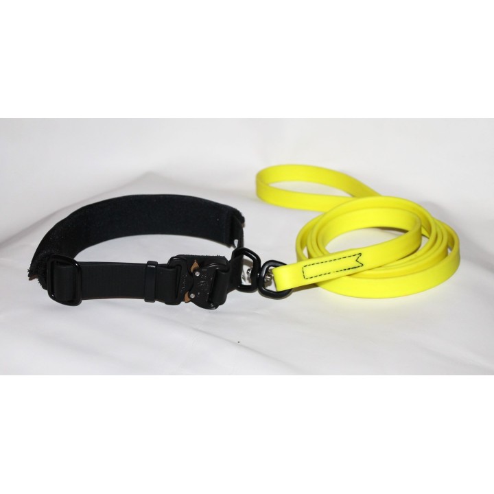 collar and leash for search dogs