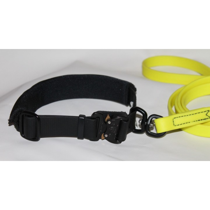 collar and leash for search dogs