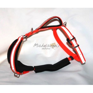 Harness for Jack Russel