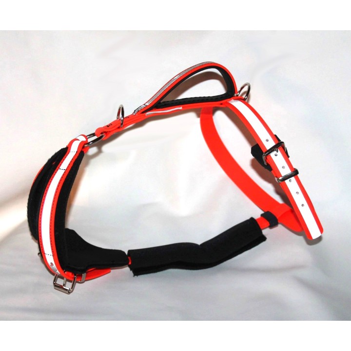 harness for jack russell