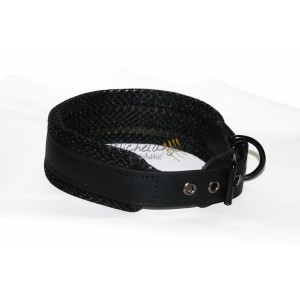 Collare Sonny in Biothane