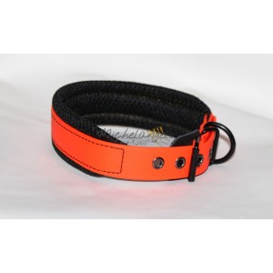 Collare Sonny in Biothane