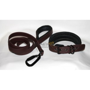 Collare e guinzaglio Sonny...