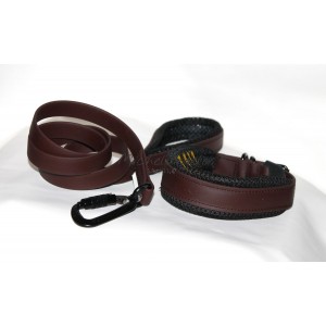 Collare e guinzaglio Sonny...