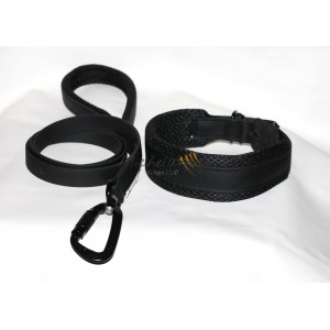 Collare e guinzaglio Sonny...