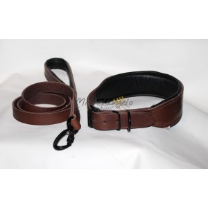 Collare e guinzaglio per...