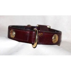 Collare per Bull Terrier