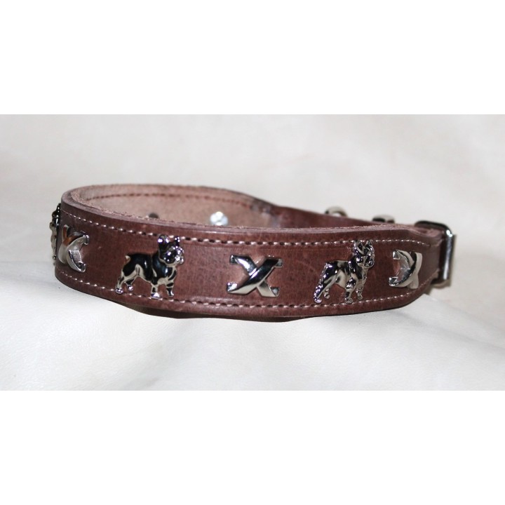leather collar for Bouledogue Francais