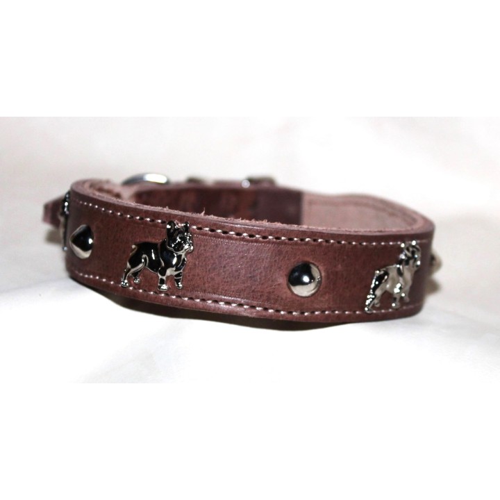 leather collar for Bouledogue Francais