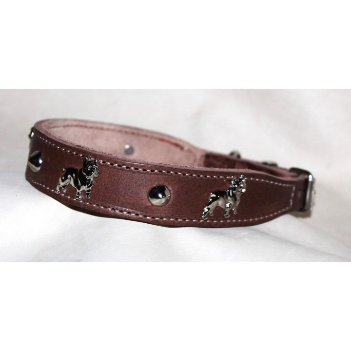 leather collar for Bouledogue Francais