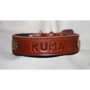 Collare con nome per...