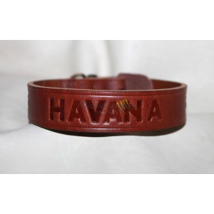 Collare con nome per...