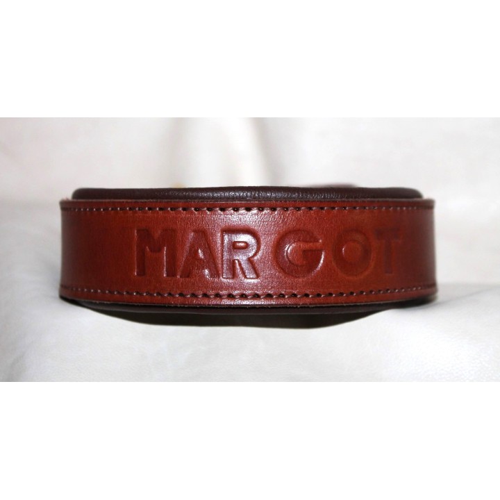 leather collar