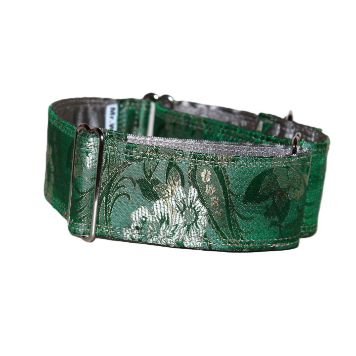 greyhound martingale collar