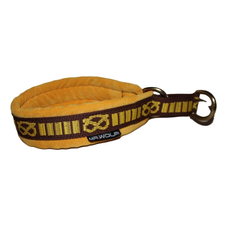 staffordshire bull terrier collar