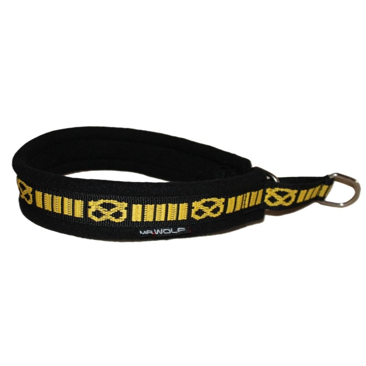 staffordshire bull terrier collar
