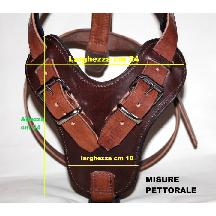 harness for large dogs