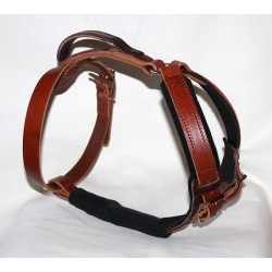 harness for large dogs