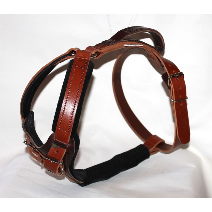 harness for large dogs