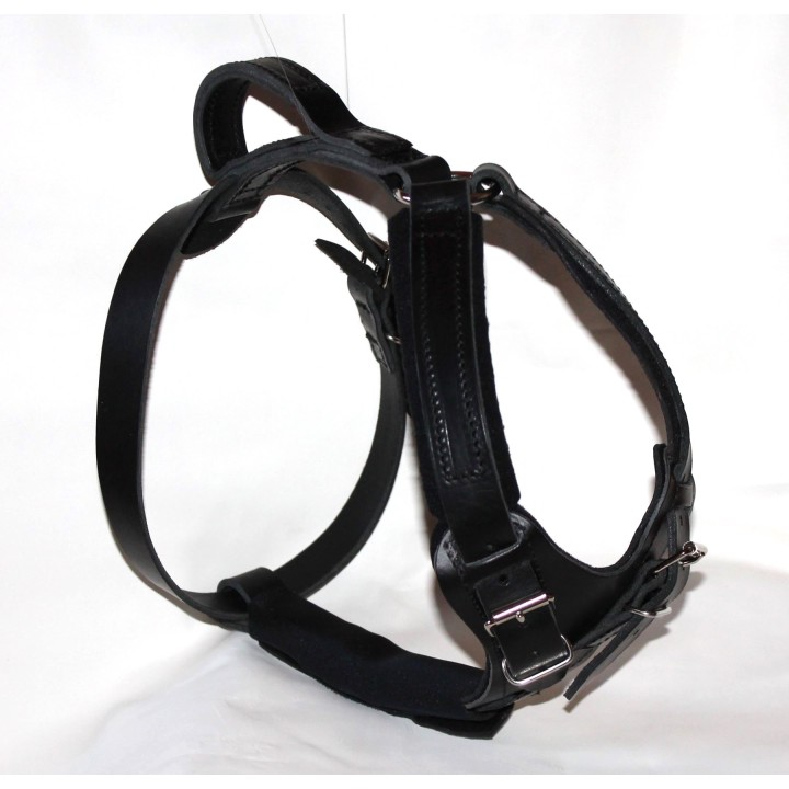 harness for large dogs