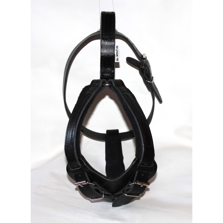 harness for large dogs