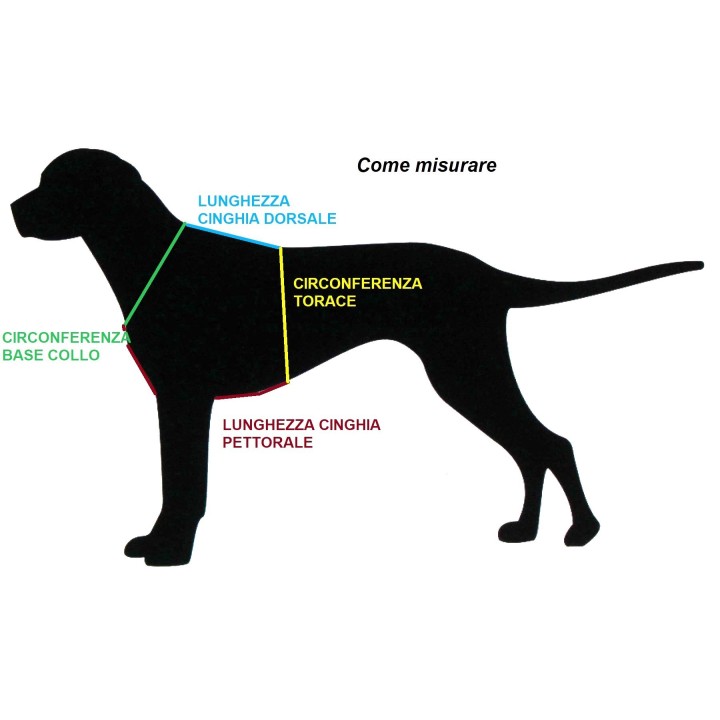 pettorina per cani con triangolo realizzata  in cuoio