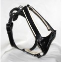 Panthera Leo Harness for...