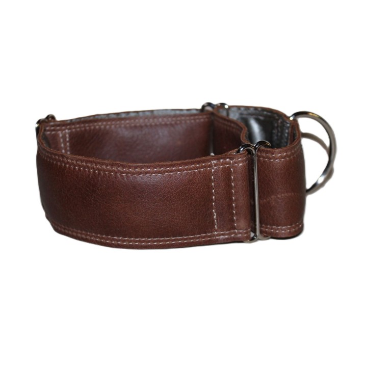 greyhound martingale collar
