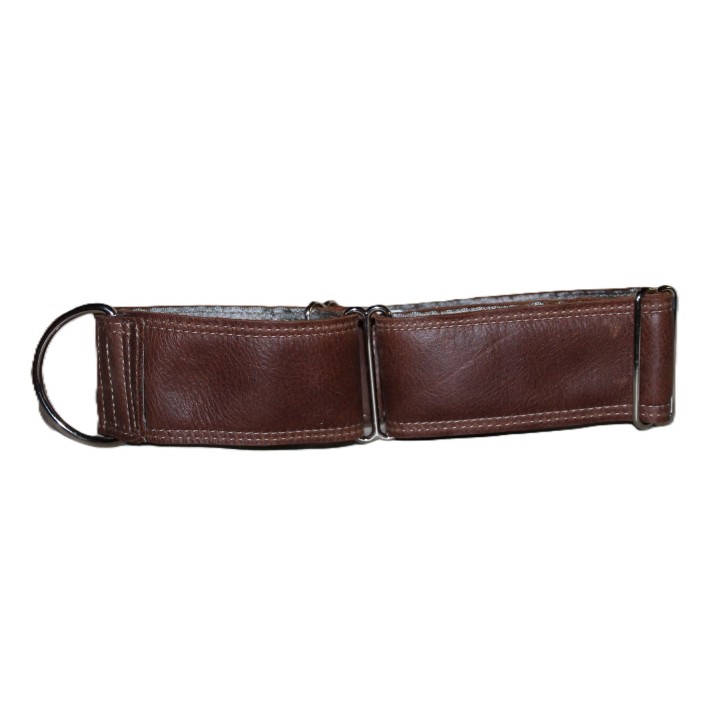 greyhound martingale collar