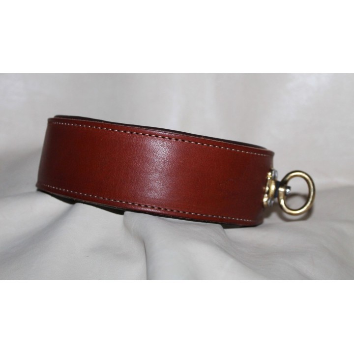 collar for tracking dogs
