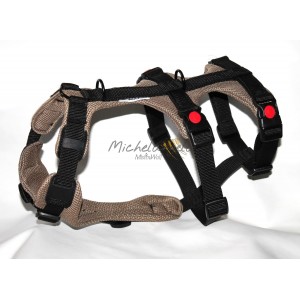 Pettorina Bridget per...