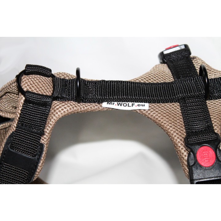 H harness for Greyhound
