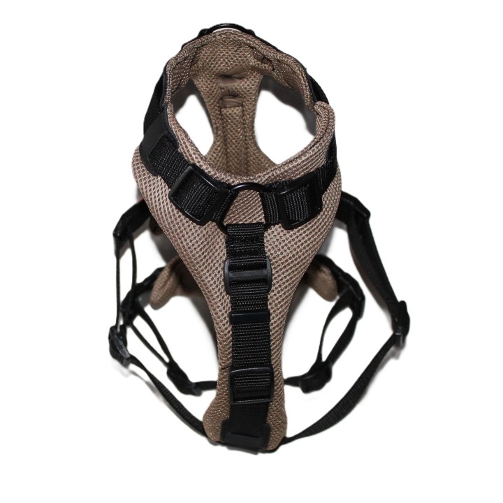 H harness for Greyhound