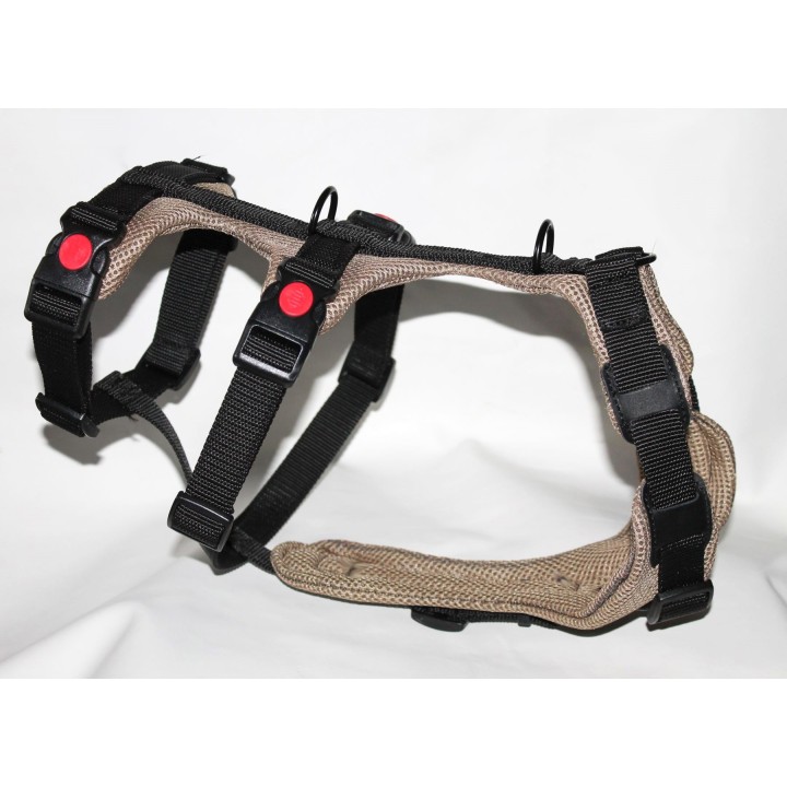 H harness for Greyhound