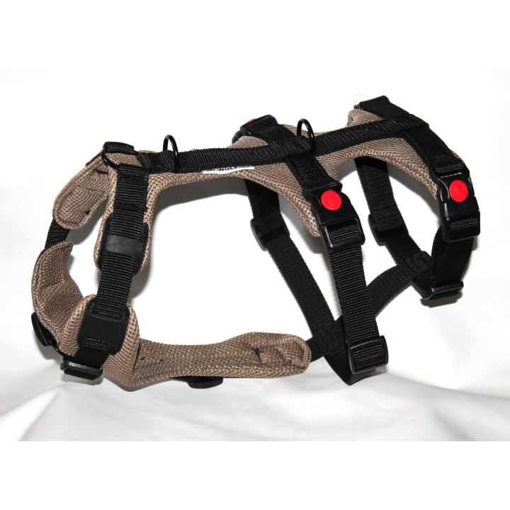 H harness for Greyhound