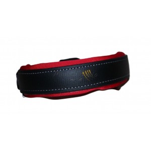 Collare in Biothane Avalon...