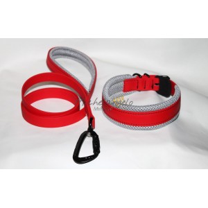 Collare e guinzaglio Sonny...